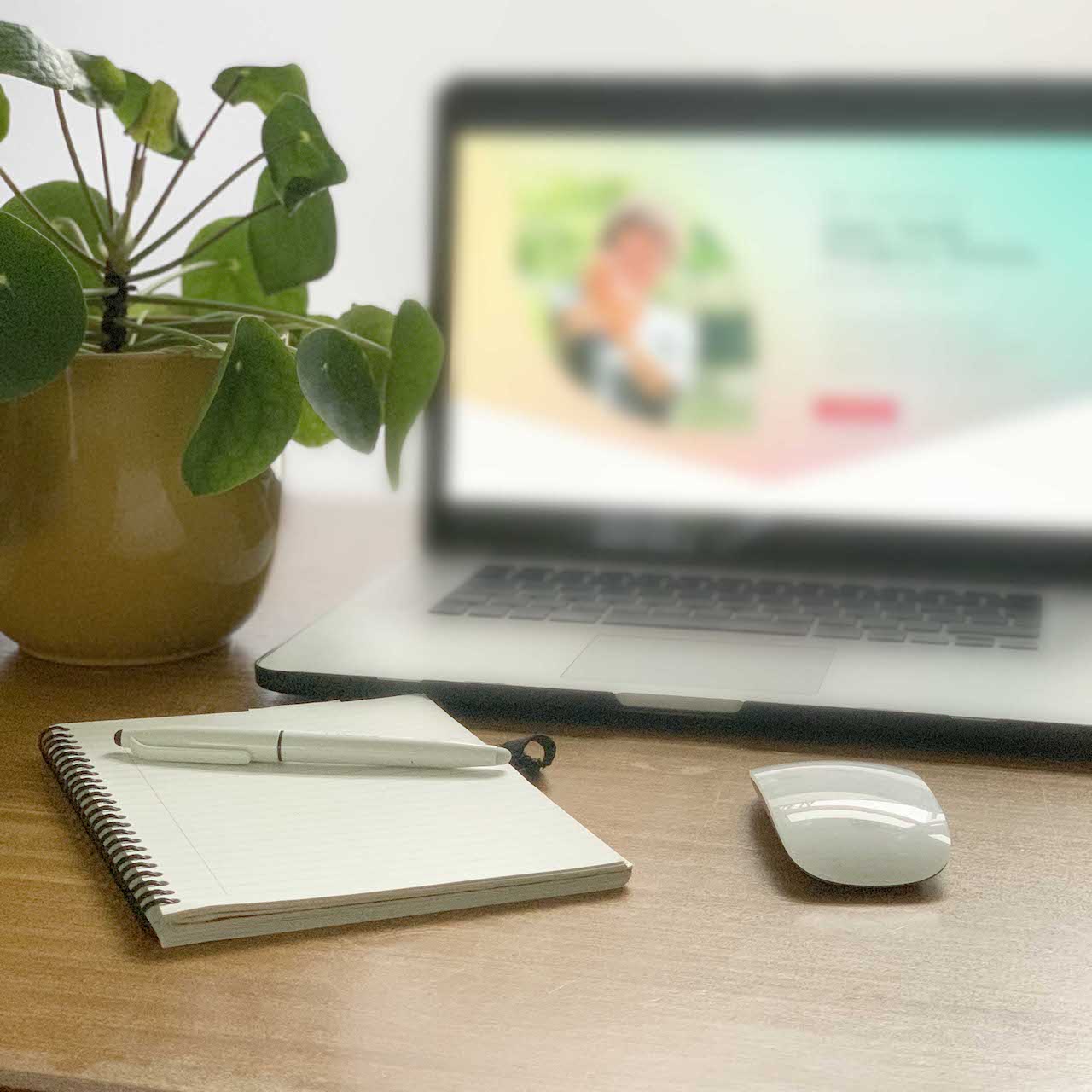 Een laptop met plant ernaast een notitie blokje met pen en een muis